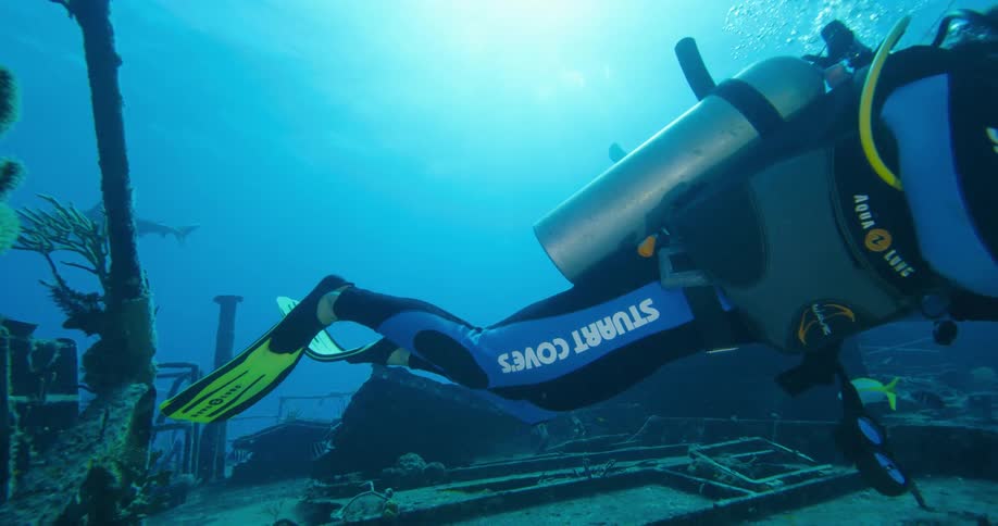 A person with scuba gear swimming underwater with fishes by a shipwreck