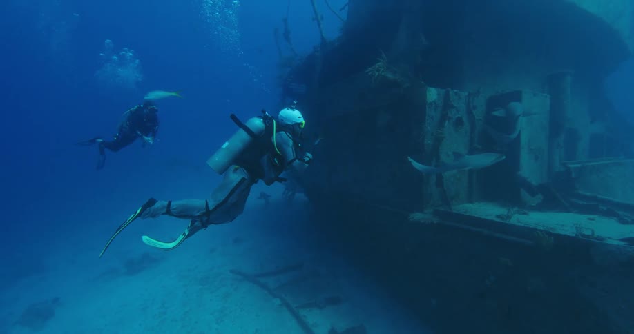Scuba divers tread water near a shipwreck watching sharks and fish swim through