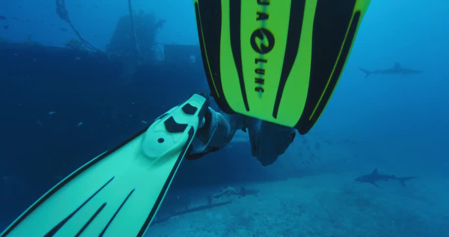 Scuba diver with yellow flippers swims toward shipwreck with nearby sharks