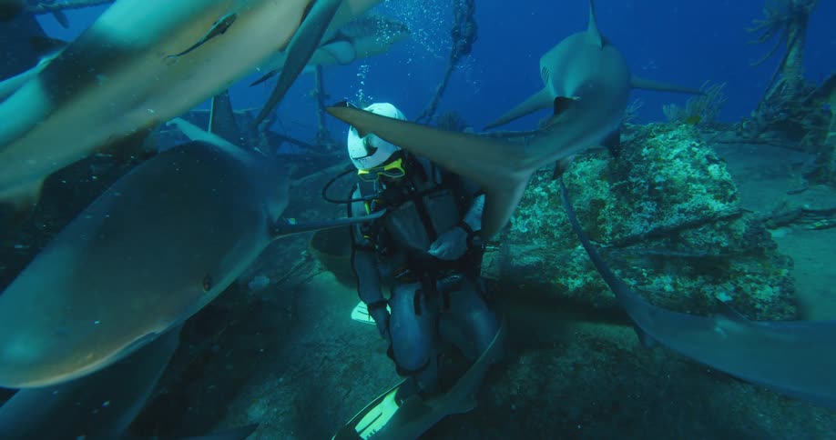 Two divers sit on the sea bed as sharks swim around them