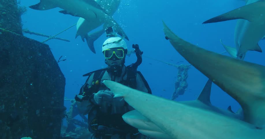 A scuba diving man looks as sharks swim around him