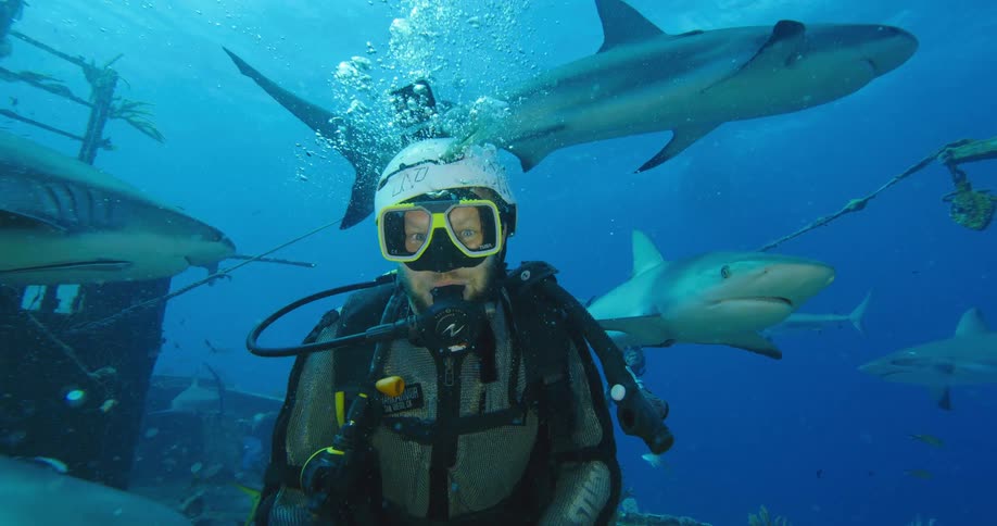 A diver watches sharks swim past him