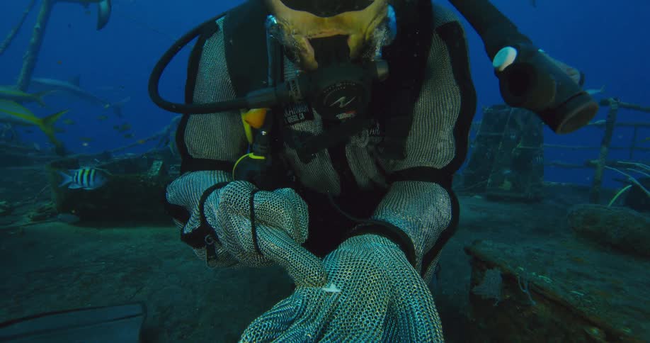 A man with scuba gear swimming underwater on a shipwreck with fishes and sharks