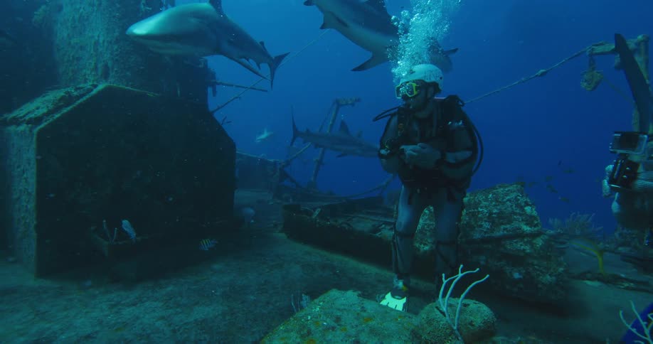 A diver is on a sunken ship surrounded by sharks