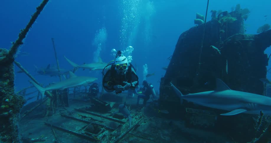 Scuba diver swimming over a sunken wrecked ship surrounded by sharks