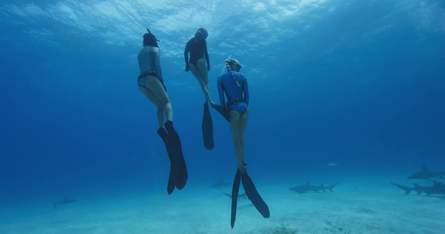 Three female divers rise towards the surface of the water
