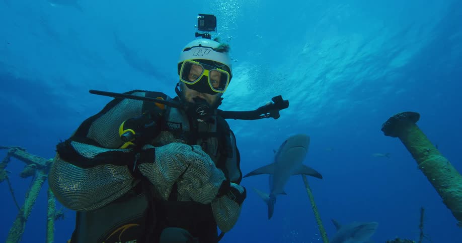 A diver wearing a protective steel mesh turns to give the camera two thumbs up as sharks swim in the background behind him