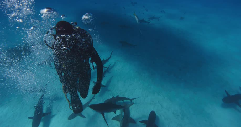 Scuba diver releases slew of bubbles as they swim away from the sharks swimming near the sandy ocean bottom