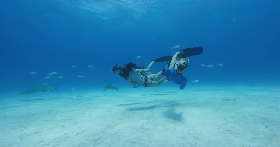 Three women with flippers and snorkels swimming underwater with sharks