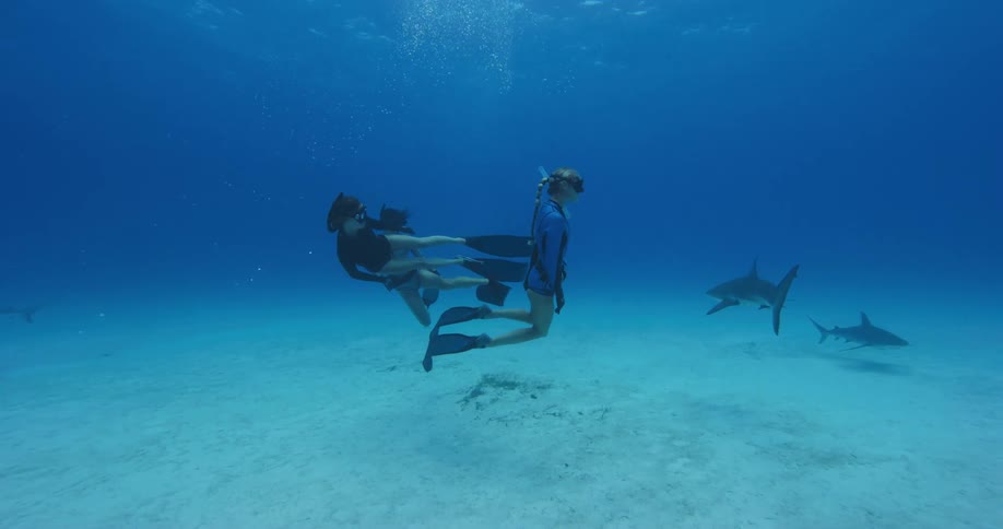 A man records with his smartphone as two women swim with sharks in the ocean