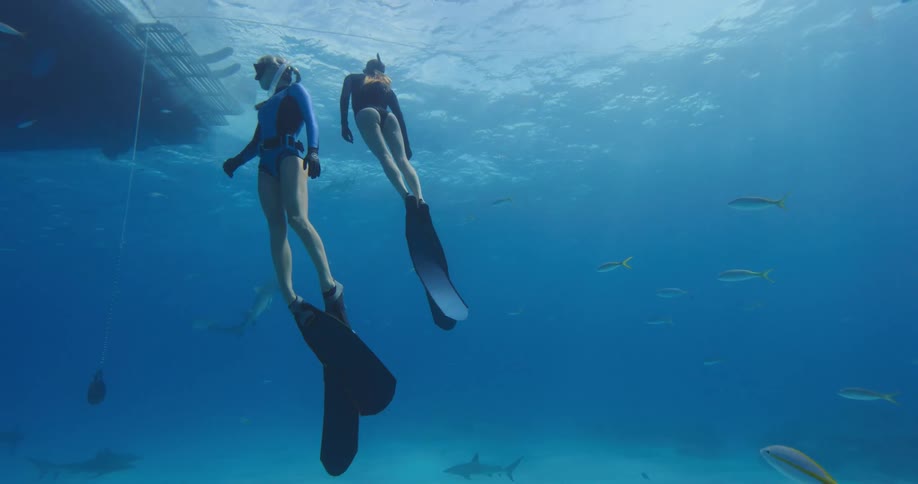Two females are swimming underwater while wearing snorkeling gear