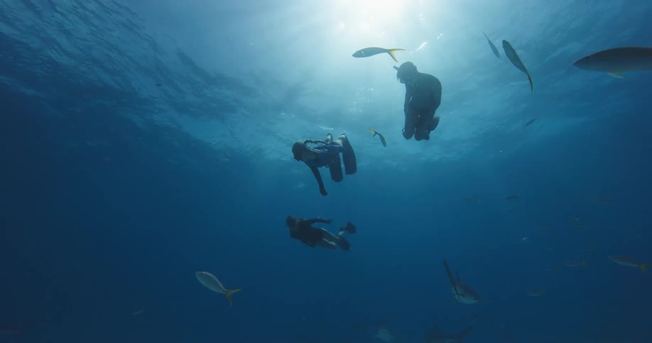 Three female divers swim among fish in the ocean