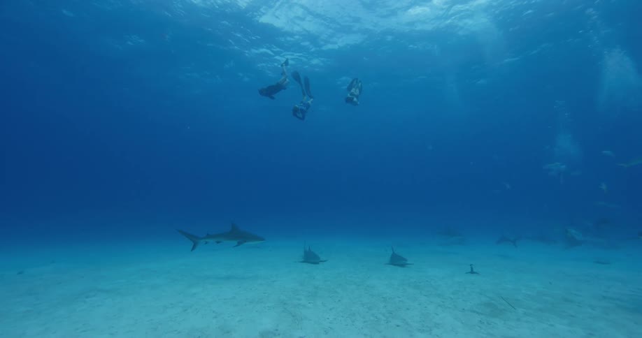 Trio of female freedivers swimming over the bottom of the ocean with sharks