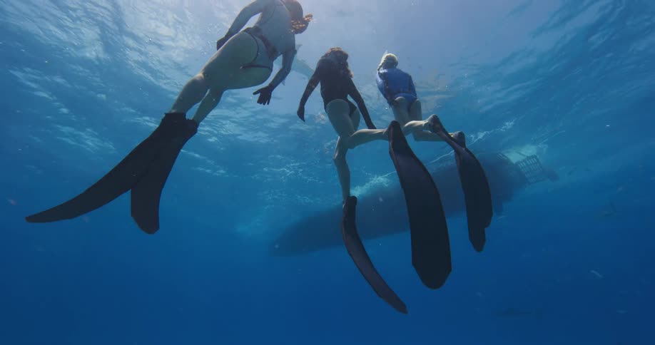 Three females are swimming underwater while wearing snorkeling gear
