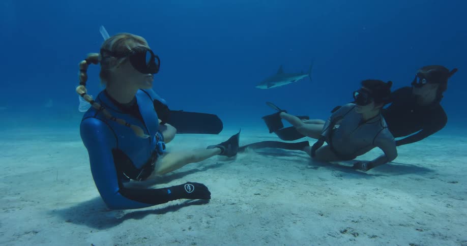 Three divers travel on the bottom of the ocean