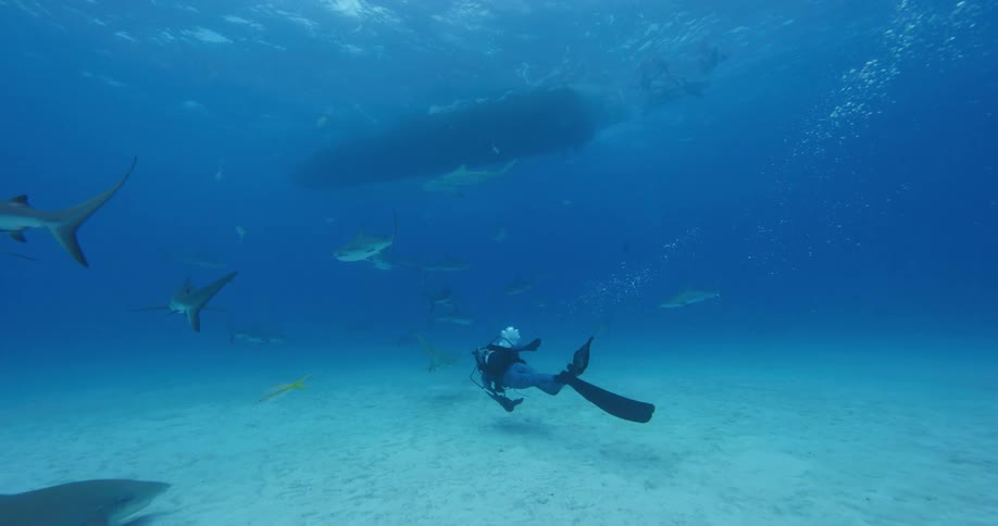 A scuba diving man swims as fishes swim around him