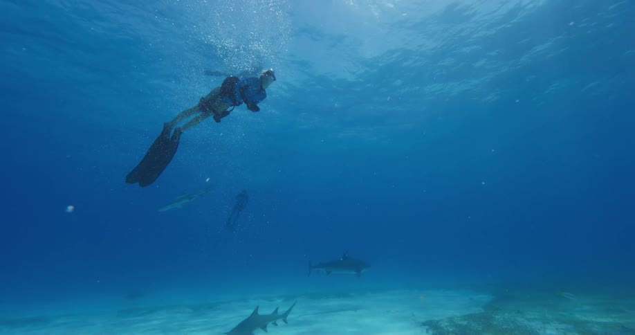 A diver swims just before the ocean surface as sharks swim below near the sea floor