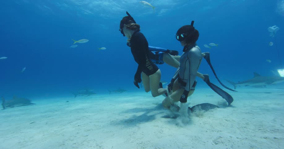 Three women with snorkels and flippers swimming underwater with fishes and sharks