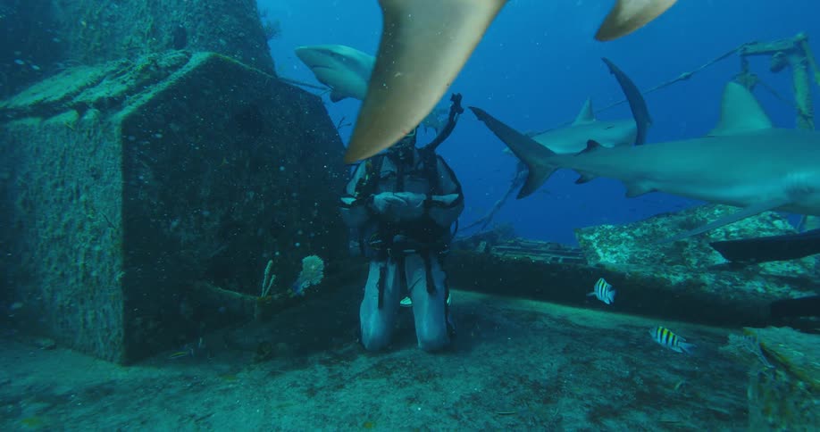 People with scuba gear diving underwater with sharks and fishes