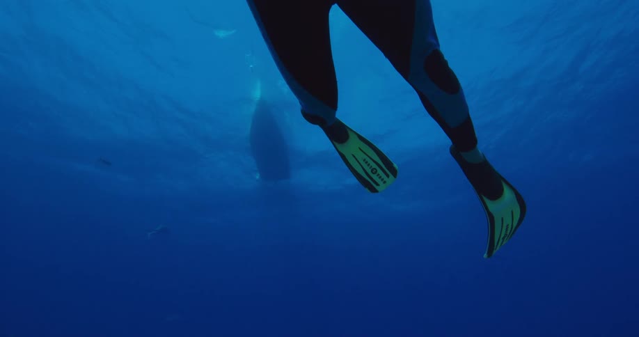 A male scuba diver slowly swims deep beneath the ocean water