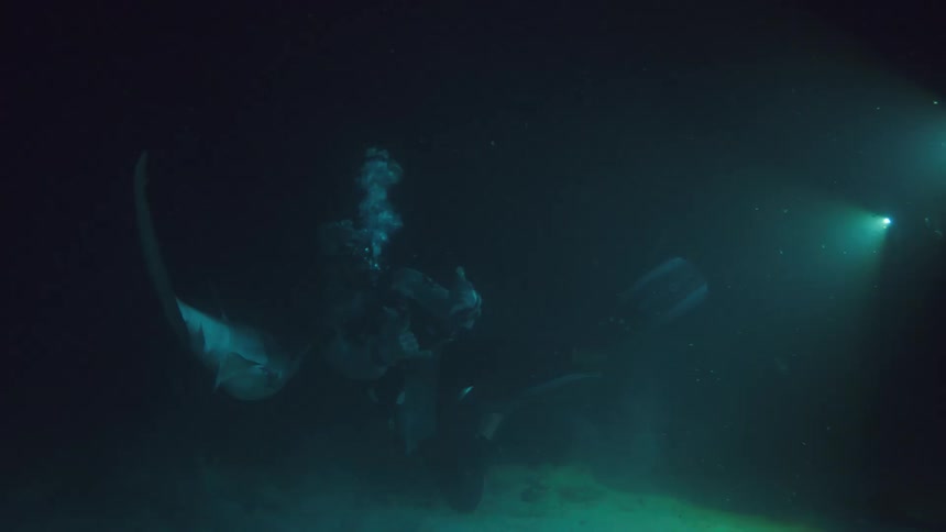 Two people with scuba gear swimming underwater with sharks