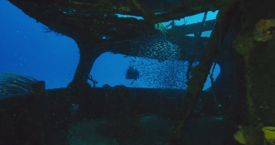 Scuba diver swimming insde the wreckage of a sunken ship in the ocean