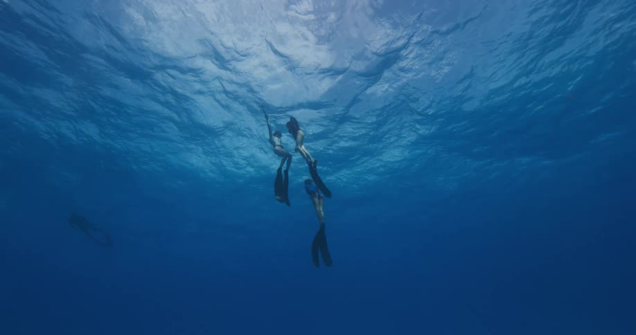 Trio of female freedivers swimming up to the surface of the blue ocean waters