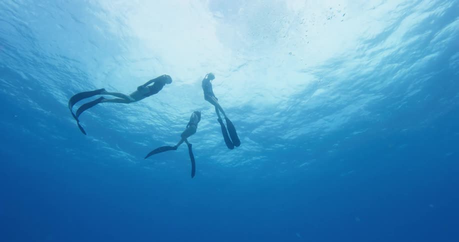 Trio of female freedivers swimming up to the surface of the blue ocean waters