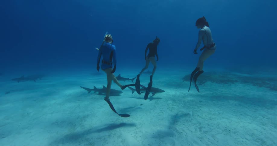A group of women swimming under water