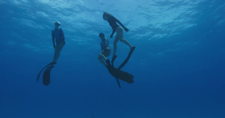 Three female divers return to the surface as a shark swims beneath them