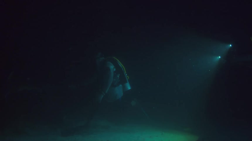 A diver attempts to touch a shark near the sea floor as another holds a pair of lights underwater at night