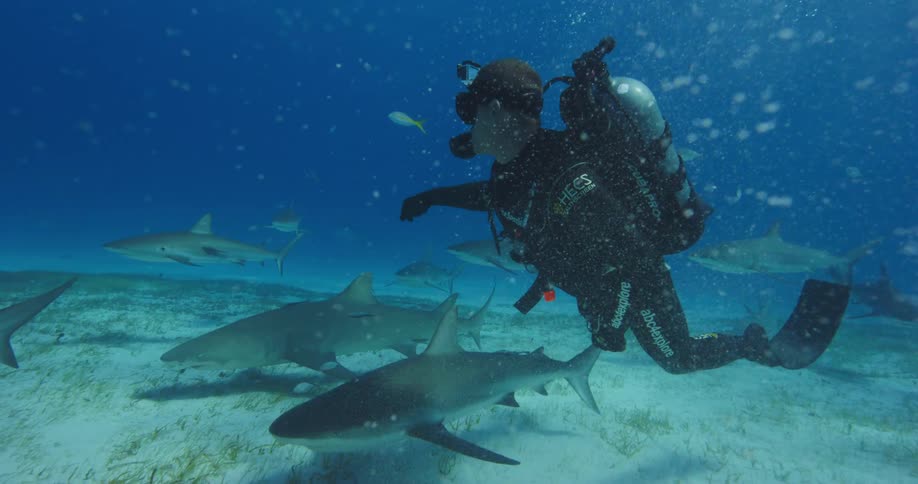A person with scuba gear swimming underwater with sharks and fishes