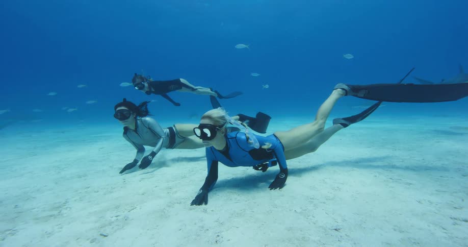 Divers touch the bottom of the sea as they swim with fish