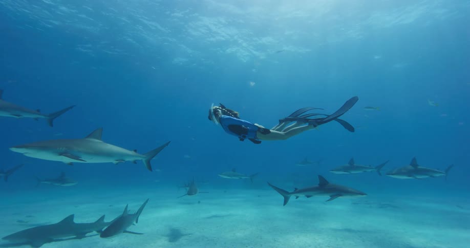 Two women with snorkels and flippers swimming underwater with sharks