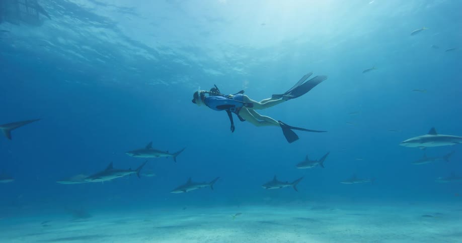 Two female freedivers swimming over the bottom of the ocean with sharks