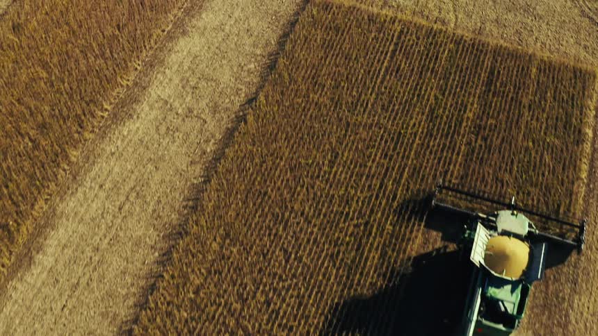 A crop harvester drives through a large farm field