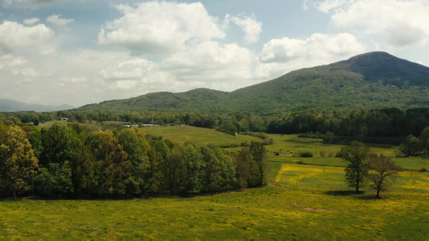 A landscape with grassy hills and trees with the sky and clouds in the background