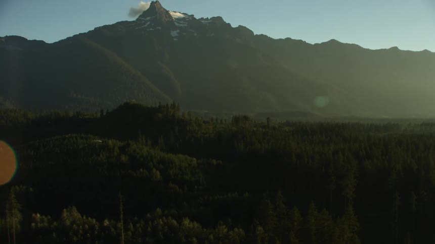 Pine tree forest near the snow covered peak of a mountain range in the morning