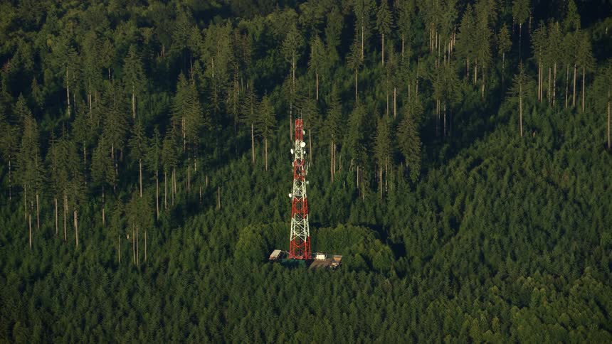 An antenna in a forest surrounded by trees