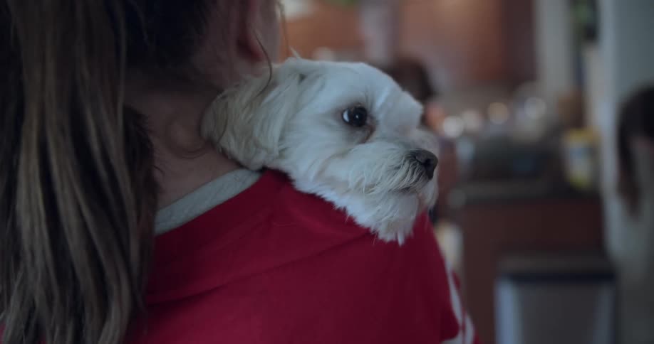 A girl in a room holding a puppy with a woman and a man in the background
