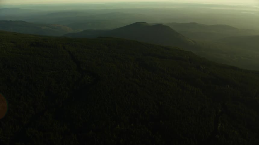 A forest with trees and hills with the sky and clouds in the background