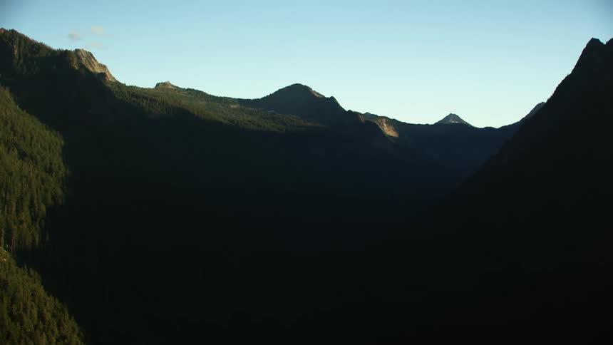 Pine tree forest on the shadow of a mountain at morning