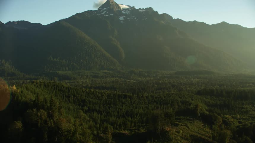 Landscape view of a forest in front of hills
