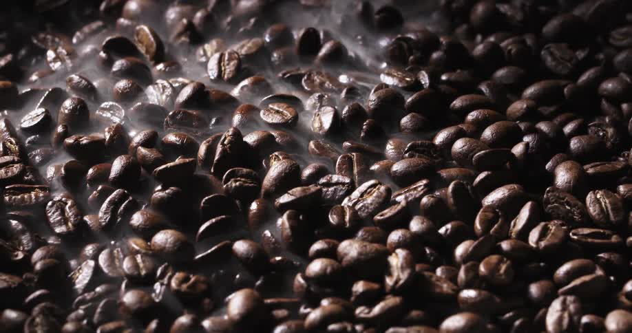 Coffee beans are displayed in studio