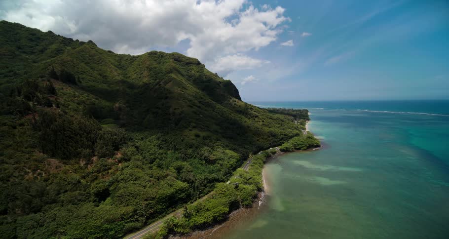 The ocean meets a shoreline covered in dense vegetation with a road at its edge