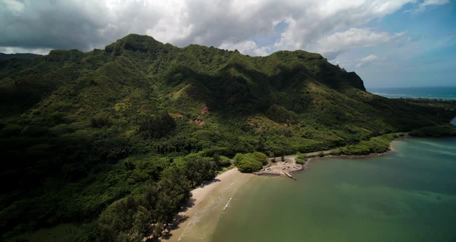 Aerial shot of coastline of a tropical area with lush green land