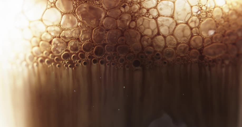 A brownish liquid has a layer of stable bubbles that have accumulated atop it