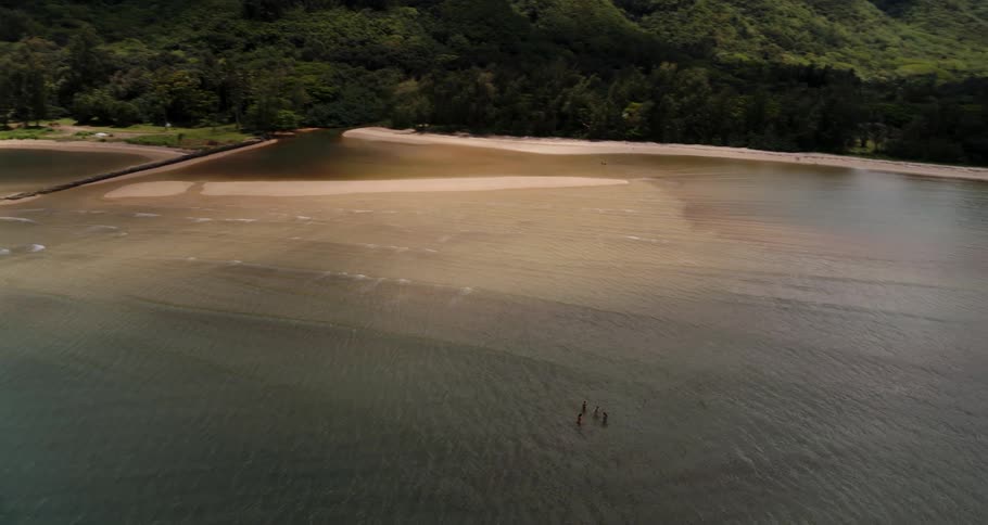 A small group of people walk into the coastal waters near a tropical shoreline