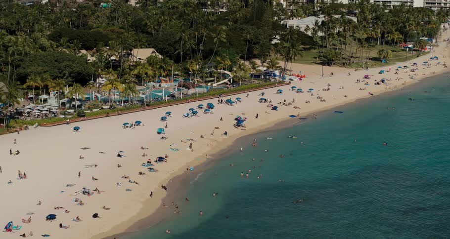 Palm trees and grass behind a sandy beach with people sunbathing playing and swimming