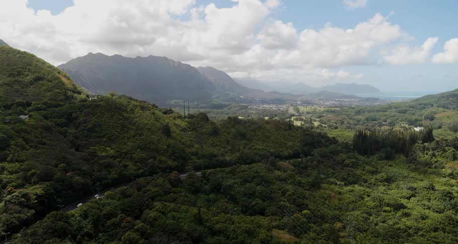 Trees are covering the mountain tops